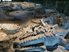 -自贡恐龙博物馆