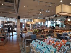 -猫的天空之城概念书店(北戴河蔚蓝海岸店)