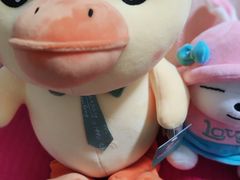 -PAWTOY爪e玩偶店(天兴罗斯福店)