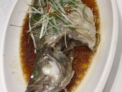 清蒸鲈鱼-万荣烤鸭店·北京菜(天坛店)