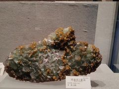 -贵州省地质博物馆