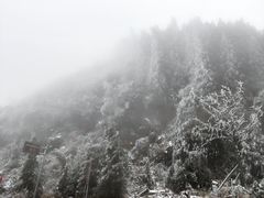 -武陵山森林公园
