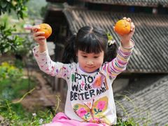 -舒家湾天主教堂