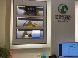 -美丽田园