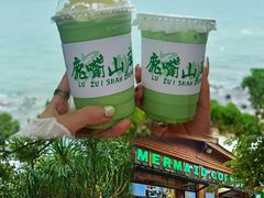 -西涌国际滨海旅游区