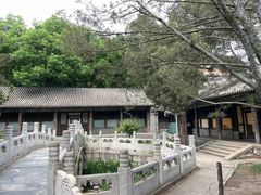 -颐和园