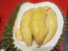 榴莲-都念榴莲·城市榴莲