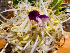 火锅豆芽-匠岳·王宝器麻椒鱼(会展中心店)