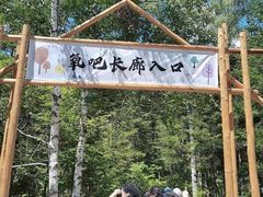 -汤旺河林海奇石景区