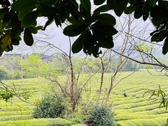 -敬亭山风景名胜区
