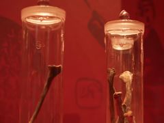 -北京大葆台遗址博物馆