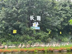 -广州长隆飞鸟乐园