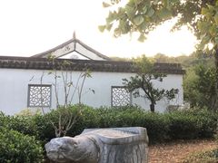 -雨花胜境
