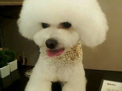 -多卡布奇宠物生活馆(上林世家店)