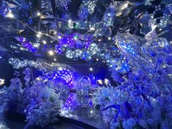 -格乐利雅婚礼艺术中心(南外滩店)