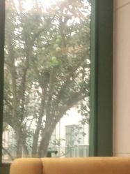 -虹桥迎宾馆·宴会厅