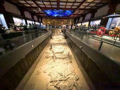 -北京大葆台遗址博物馆