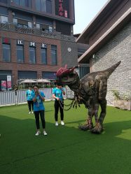 -恐龙探索乐园(磁器口店)