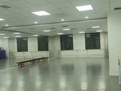 -西安小天鹅艺术团(金花路校区)