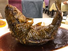 罾蹦鲤鱼-奥华餐厅·老张记(台基厂店)