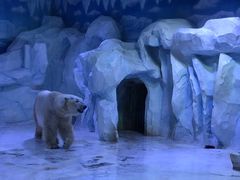 -芜湖新华联大白鲸海洋公园