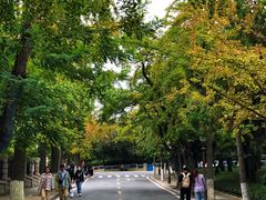 -八大关景区