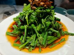 -雀蓝川菜(滨湖万象汇店)