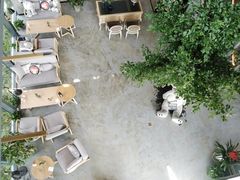 -了不起的考拉咖啡店(高新店)