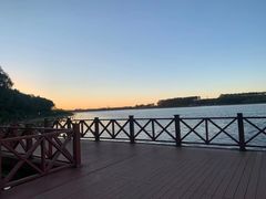 -丁香湖公园