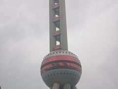 -上海大自然野生昆虫馆(东方明珠·爬宠昆虫探索中心)