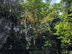 -梭布垭石林景区