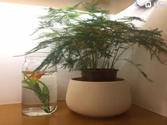-十二舍·湯物素煮(江泰潤政店)
