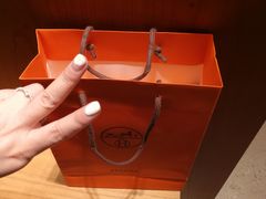 -爱马仕 HERMES(上海ifc商场店)
