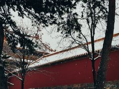 -故宫博物院(故宫)