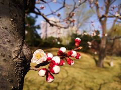 -元大都城垣遗址公园