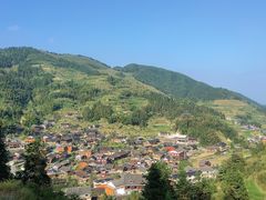 -紫鹊界梯田景区
