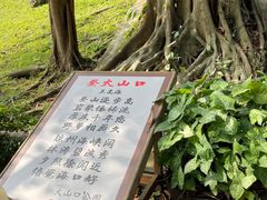 -海口火山口国家地质公园