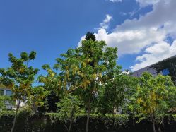 点击看大图 -厦门市儿童医院