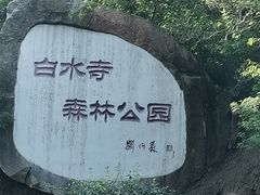 -白水寺森林公园