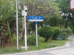 -东莞植物园