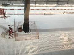 -谢列梅捷沃国际机场