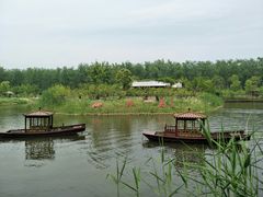 -合肥滨湖国家森林公园