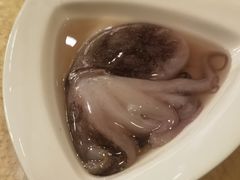 八爪鱼-常州富力喜来登酒店 Feast盛宴标帜西餐厅(新北万达广场店)