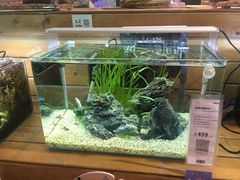 -龟与熊猫宠物公园(南坪店)