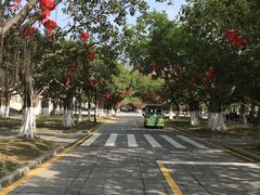 -厦门大学(思明校区)