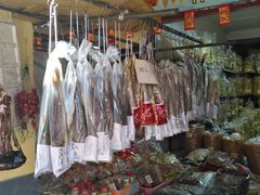 -大湾区中央湿地公园-十九涌