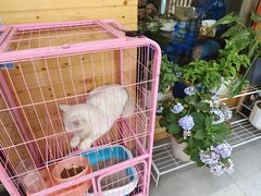 -艺味深尝(云锦路店)