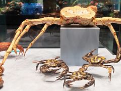 -天津自然博物馆