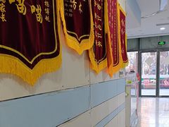 -中农国际动物医院24小时·猫科·骨科·急重症中心