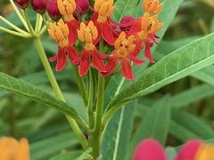 -中国杭州低碳科技馆